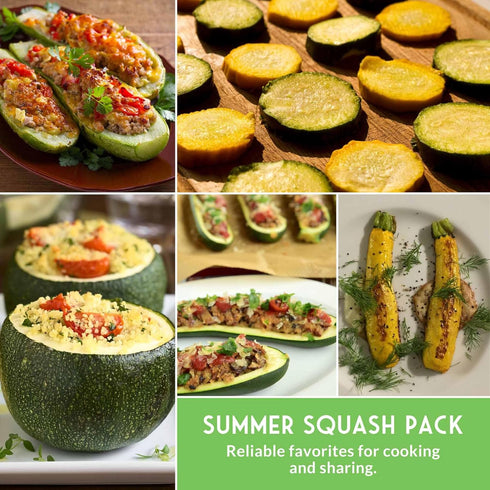 Summer Survival Garden Seeds Zucchini & Squash Collection Seed Vault - Non-GMO Heirloom Seeds for Planting Vegetables