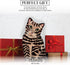 Pavilion Gift Company Small Brown Tabby Vase, 8-1/2-Inch Tall - Rescue Me Now