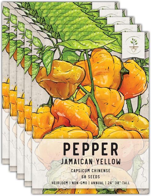 Seed Needs Hot Pepper Seeds for Planting Jamaican Yellow Chile Peppers -