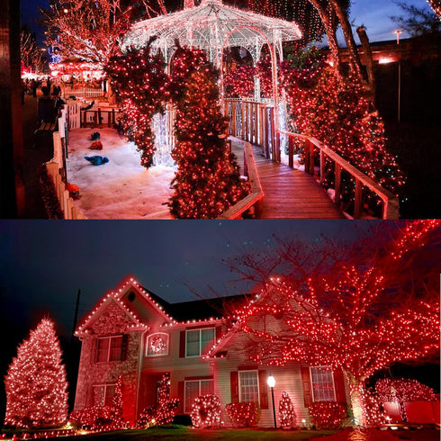 32.5FT 100 16 Red Valentines Decor Lights, LED Valentine's Day String Lights Outdoor Indoor, Lighting Mode Plug