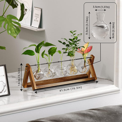 (5 Bulb CFMOUR Plant Terrarium with Wooden Stand, Desktop Propagation Stations Glass Air Planter Metal Swivel Holder
