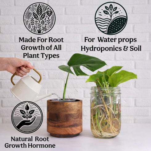 8oz 55 Organic Liquid Kelp & Seaweed Extract Prop Drop (Ecklonia Maxima) Root + Plant Growth Hormone & Root Plant Food