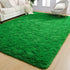 3x5 AROGAN Luxury Soft Shaggy Carpet, Feet Green Fluffy Bedroom Rug for Living Room, Kids Girls Playroom Teen Room