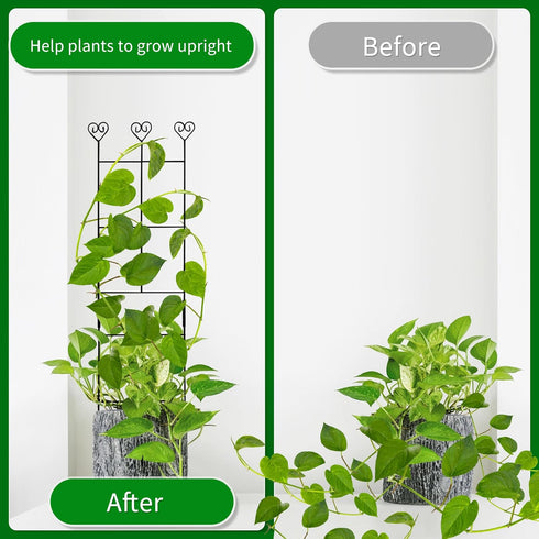 Hensal 2 Pack 30'' Plant Trellis for Climbing Plants Indoors, Metal Garden Trellis for Potted Houseplant, Rustproof