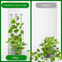 Hensal 2 Pack 30'' Plant Trellis for Climbing Plants Indoors, Metal Garden Trellis for Potted Houseplant, Rustproof