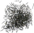 (1 Pack) Seed Needs Chervil Seeds for Planting - Non-GMO, Heirloom & Untreated Annual Herbs - Grow an Indoor/Outdoor