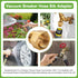 1-1/16" 3/4 Brass-1 Pack Garden Hose Bib Adapter, Fine Thread (Female), to GHT Male Hoses,Compatible with Outdoor