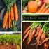 Packet (1) Sow Right Seeds - Tendersweet Carrot Seeds for Planting - Non-GMO Heirloom with Instructions to Plant & Grow