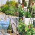 CEDOCSH 1 Pack Garden Trellis, Support Plant Stand for Climbing Plants Outdoor and Indoor Trellis, Potted Plants