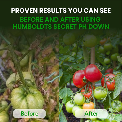 32 Humboldts Secret pH Down for Plants | Liquid pH Adjuster and Balancer for Soil Coco Hydroponics | Concentrated