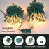 50 Count BrizLabs Clear Christmas Lights, Warm White Incandescent Christmas Lights, Connectable Mini Light String, UL