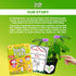 Zombie Plant Seed Packets (2) – Grow Your Own Live Zombie Plant for Fun & Educational STEM Activity