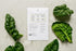 (10-Pack) 100% Sereniseed Certified Organic Leafy Greens Lettuce Seeds Collection Non GMO, Open Pollinated Grow Guide