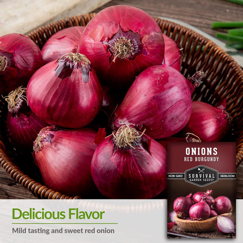 (1 Pack) Red Burgundy Onion Seeds for Planting Sweet Mild Short Day Red Onions with High Yield & Great Flavor Heirloom
