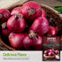(1 Pack) Red Burgundy Onion Seeds for Planting Sweet Mild Short Day Red Onions with High Yield & Great Flavor Heirloom