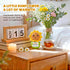 Cute Sunflower Gift for Women Crochet You're Amazing Sun Flower, Funny Positive Affirmation Desk Decor, Uplifting Cheer