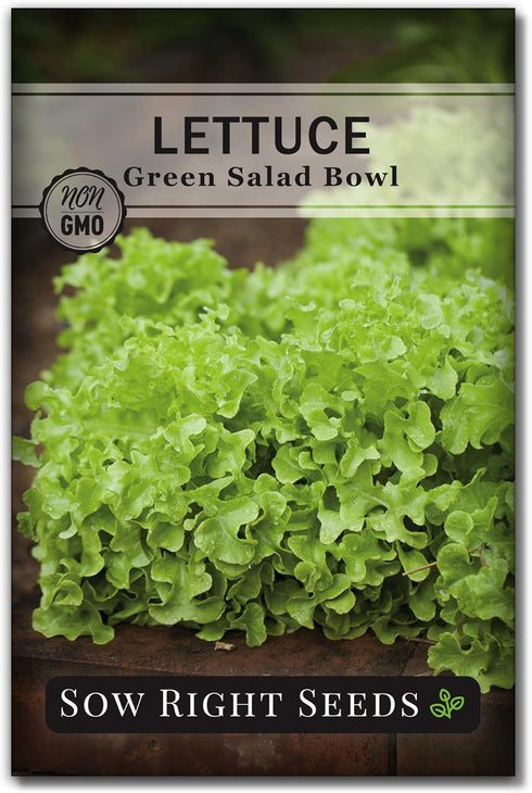 Sow Right Seeds - Salad Bowl Green Leaf Lettuce Seeds for Planting