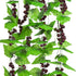 Meiliy 8FT Artificial Greenery Chain Grapes - Fake Vines Leaves Foliage for Home Room Garden Wedding Decor