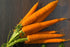 58 1.5g 91% Gaea's Blessing Seeds - Carrot Seeds - Imperator Non-GMO Seeds with Easy to Follow Planting Instructions