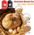 2 Pack Chicken Grit and Oyster Shell Feeder, Metal Oyster Shell Feeder with Visual Window and Lid, Hanging Gravity