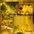 2-Pack 16FT 50 Fairy Lights Battery Operated with Timer, Waterproof LED String Lights Indoor Outdoor, Cuttable Starry