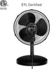 HOLMES 12" Table Fan with 75° Oscillation, 3 Speeds, 15° Adjustable Head Tilt, Ideal for Home, Bedroom, Office, Black