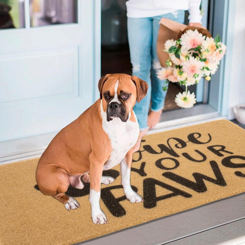 Wipe Your Paws Welcome Outdoor Indoor Door Mat, Nonslip Coir Doormat for Dog Lovers New Home Gift