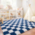 5x7, Checkered Rugs for Bedroom, Ultra Fluffy Fuzzy Shag Area Rug for Living Room Modern Plush Soft Upgrade Non-Slip