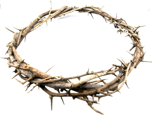 ZULUF Crown of Thorns Ornament, 7.5" from Bethlehem Jerusalem, Gift Boxed