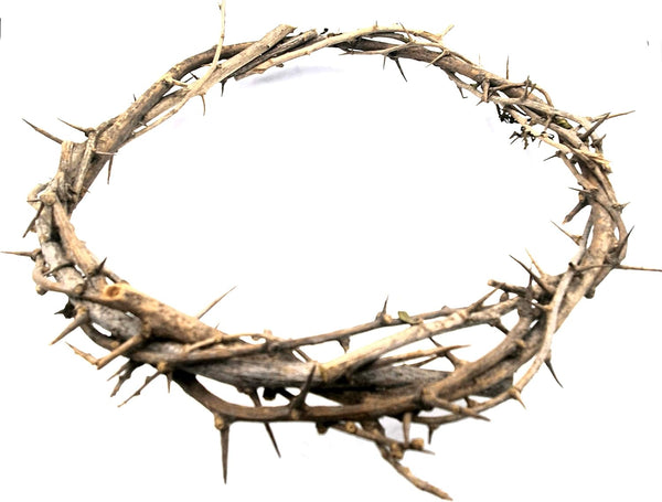ZULUF Crown of Thorns Ornament, 7.5" from Bethlehem Jerusalem, Gift Boxed
