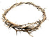ZULUF Crown of Thorns Ornament, 7.5" from Bethlehem Jerusalem, Gift Boxed