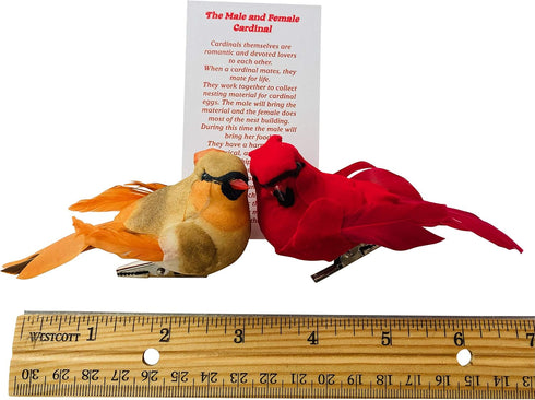 Westmon Works Cardinal Decor Set with Clip, Male and Female Love Bird Cardinals with Story Card