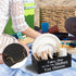 Small Paper Plate Holder Utensil Caddy Organizer for Countertop, Kitchen Silverware Cups, Forks, Spoons, Napkins, Wood