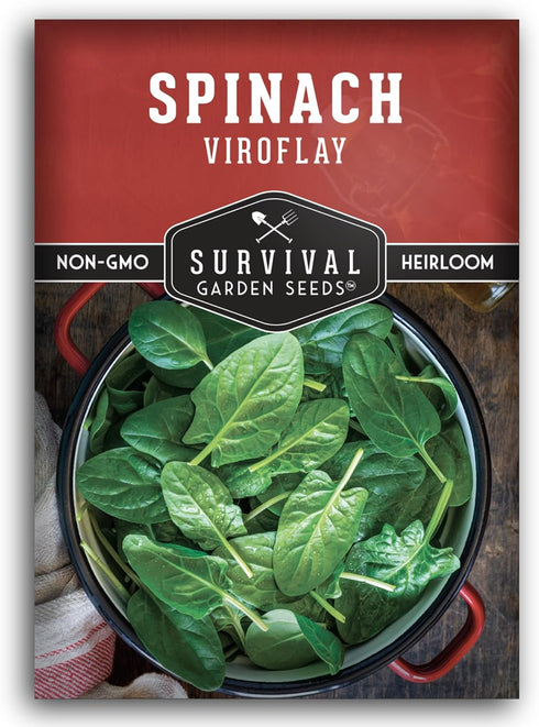 Viroflay Spinach Seeds for Planting Giant Heirloom Variety with Tender Sweet 10"