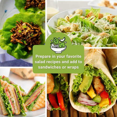 Sow Right Seeds - Large Lettuce Seed Collection for Planting - Buttercrunch, Jericho, Iceberg, Salad Bowl, Little Gem