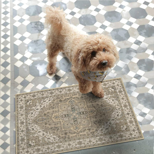 Collive Washable Indoor Doormat - Non-Slip Retro Floor Mat 20" x 32" Quick Absorbent Entrance Rug in Distressed Taupe