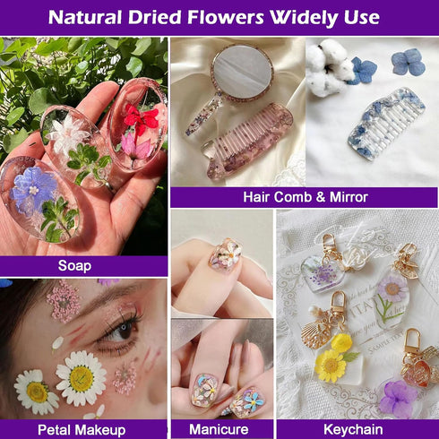 Flowers for Resin Model, Real Pressed Flowers Dry Leaves Bulk Natural Herbs Kit for Scrapbooking DIY Art Crafts, Epoxy