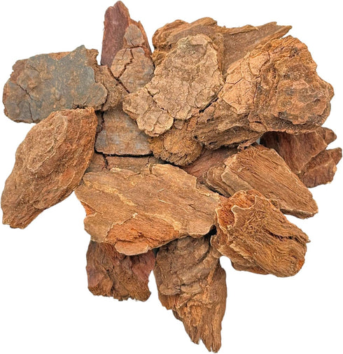 Jezebel Root 28 Grams - Jezebel Root Herb for Love, Passion, and Wealth Conjure Practices