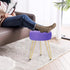 GERANT Multifunctional Vanity Stool - Velvet Footrest Stool-Upholstered Chair Stool -Ottoman Round Modern Dressing