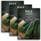 Lacinato Kale Seeds for Planting Outdoors or Indoors Heirloom Dinosaur Tuscan Kale