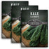 Lacinato Kale Seeds for Planting Outdoors or Indoors Heirloom Dinosaur Tuscan Kale