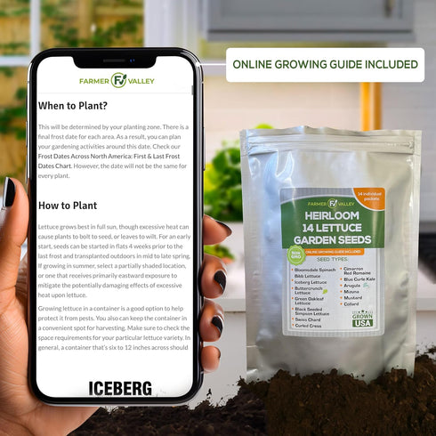 6400+ Lettuce & Salad Garden Seeds for Planting - Non GMO USA Grown Vegetable Seeds for Home Growing - Heirloom Greens