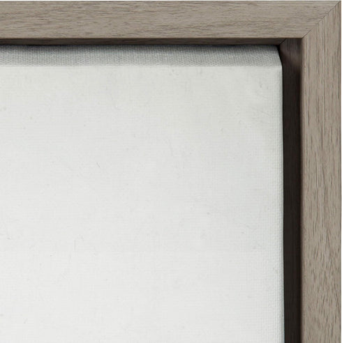 Kate and Laurel Sylvie Succulent 5 Framed Canvas by F2 Images, 18x24 in Gray