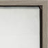 Kate and Laurel Sylvie Succulent 5 Framed Canvas by F2 Images, 18x24 in Gray