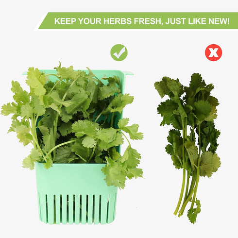 3 Pack 3 LUVCOSY Herb Keeper, BPA-Free Plastic Herb Saver with an Inner Basket for Cilantro, Mint, Parsley