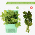 3 Pack 3 LUVCOSY Herb Keeper, BPA-Free Plastic Herb Saver with an Inner Basket for Cilantro, Mint, Parsley