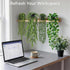 EOECL 4 Pcs Artificial Hanging Plants with Pots - Realistic Fake Eucalyptus & Ivy Vine Potted Plants for Bathroom Shelf