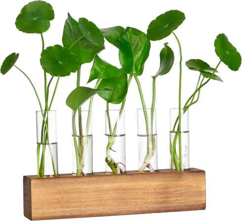 YIBOT Propagation Stations, Plant Terrarium with Wooden Stand, 5 Glass Test Tubes