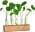 YIBOT Propagation Stations, Plant Terrarium with Wooden Stand, 5 Glass Test Tubes