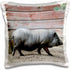 3dRose Adult Black Potbellied Pig Walking on Farm - Pillow Case, 16 by 16-inch